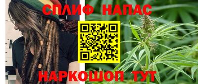 прущие грибы Обнинск