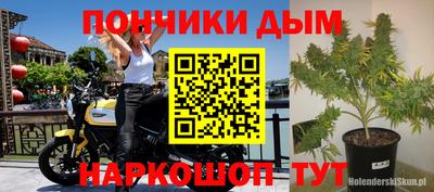прущие грибы Обнинск