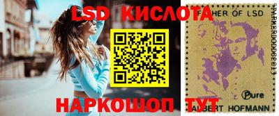 прущие грибы Обнинск