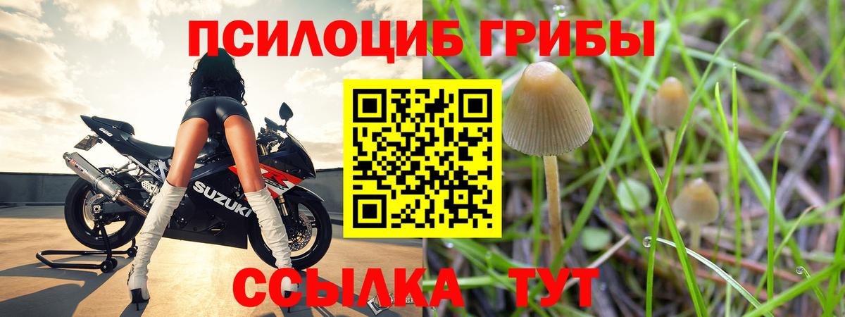 Улан-Удэ  Галлюциногенные грибы прущие грибы  Вход с VPN  Галлюциногенные грибы мицелий 
